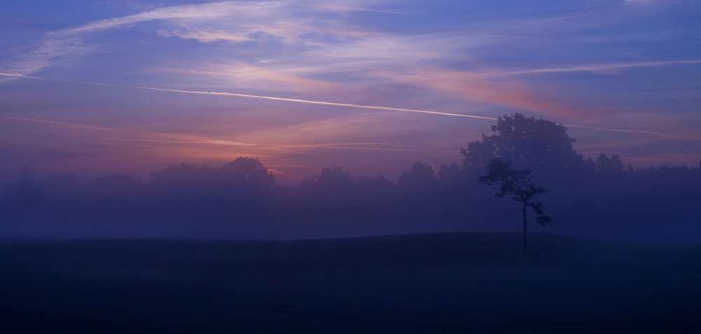 Cold Mist