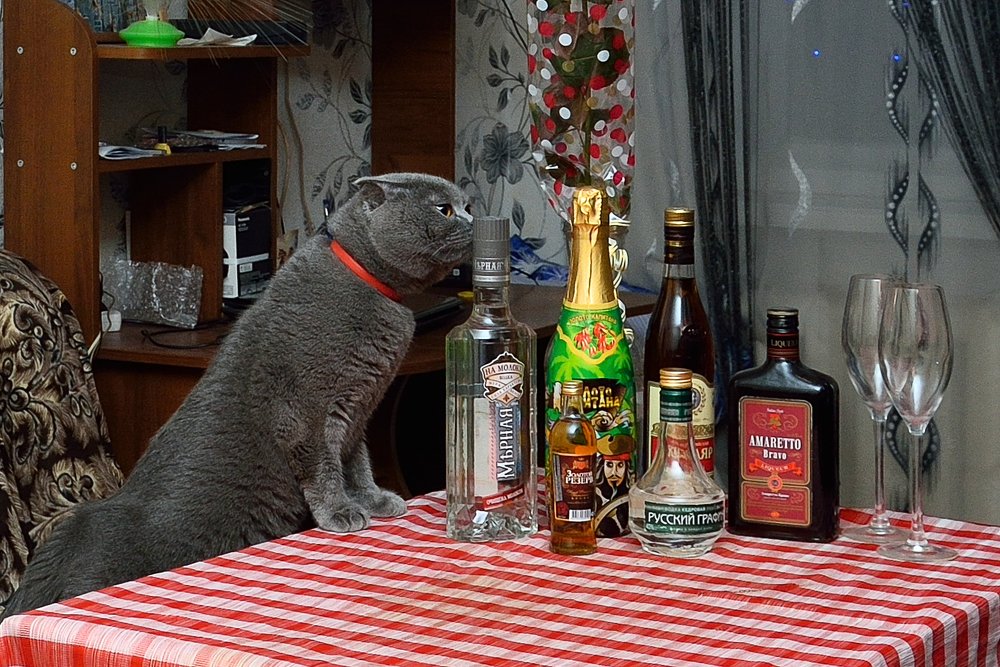 Томас сомелье.