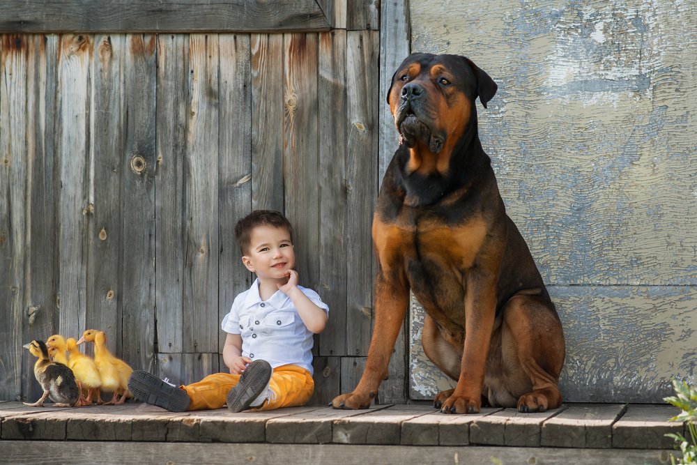 Photograph by Самойлис Юлия