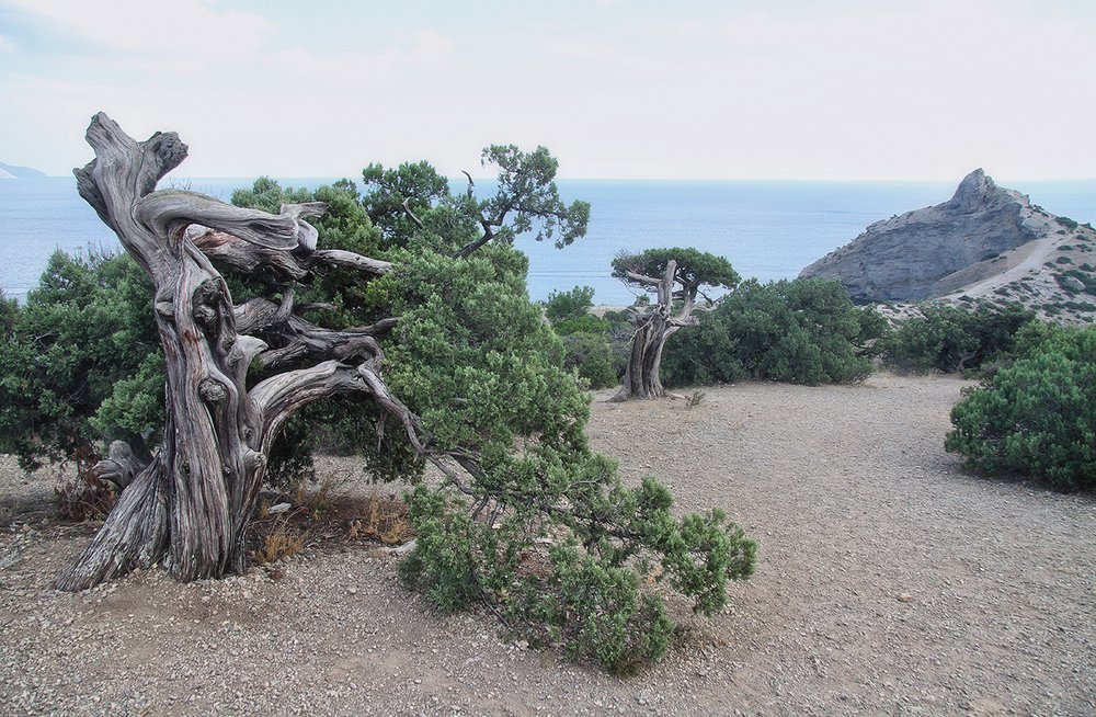 У мыса Капчик