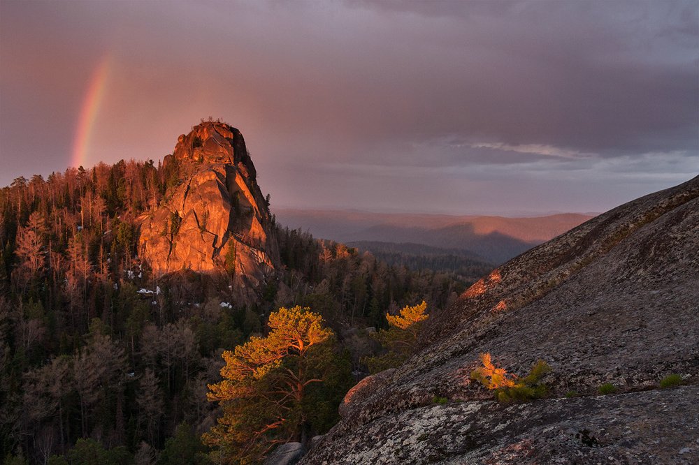 Весенний рассвет