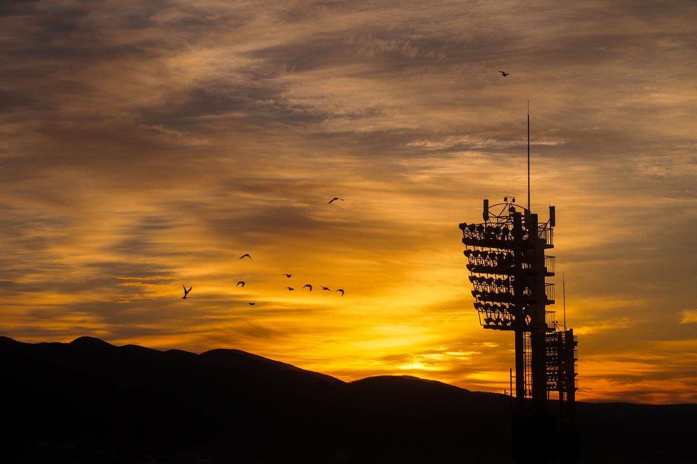 Out of the Office Window