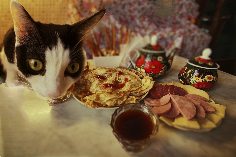Когда коту - масленица :)