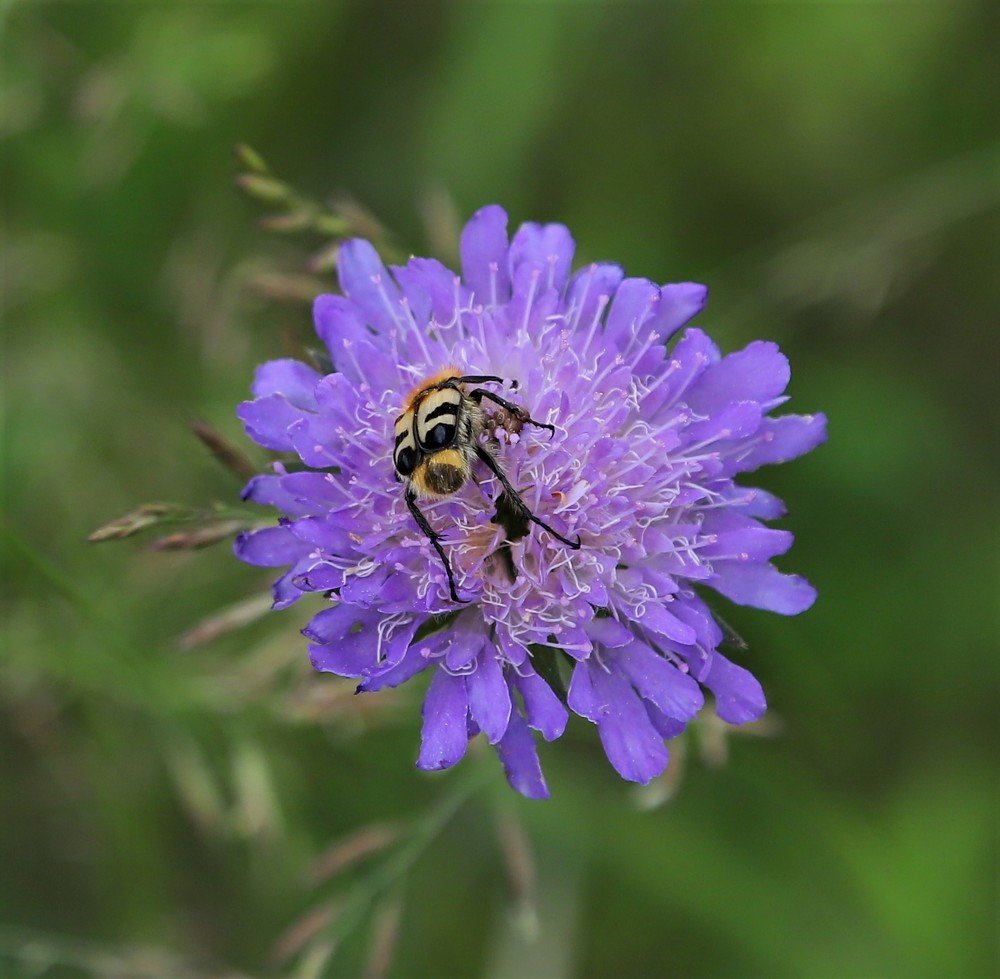 Сбор урожая...