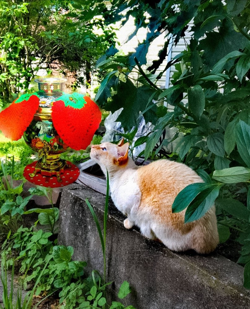 Photograph by Татьяна Чернышова