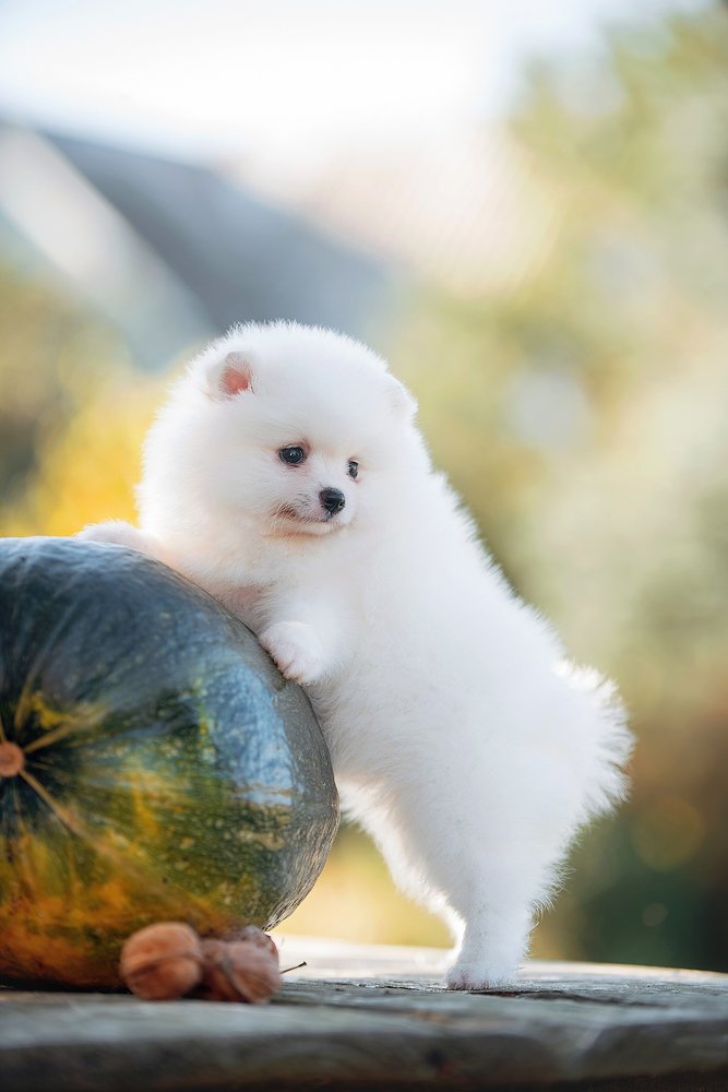 Photograph by Вероника Ранцева