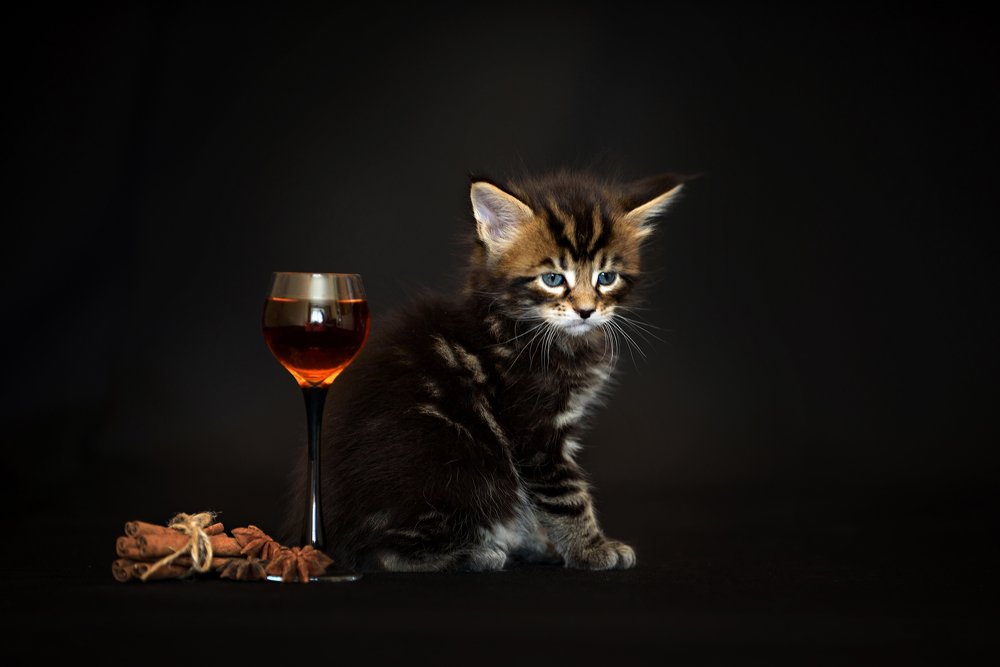 Photograph by Вероника Ранцева