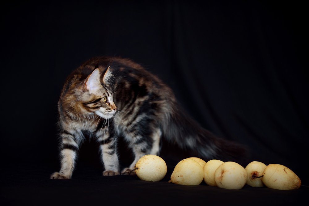 Photograph by Вероника Ранцева