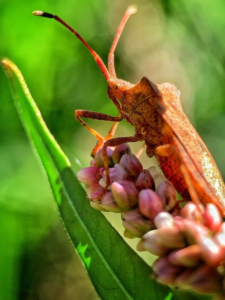 Photograph by vasil kolev