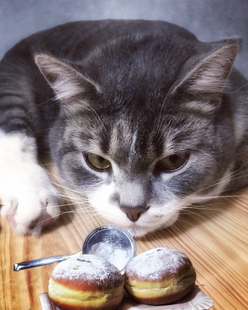 Photograph by Светлана Коваль