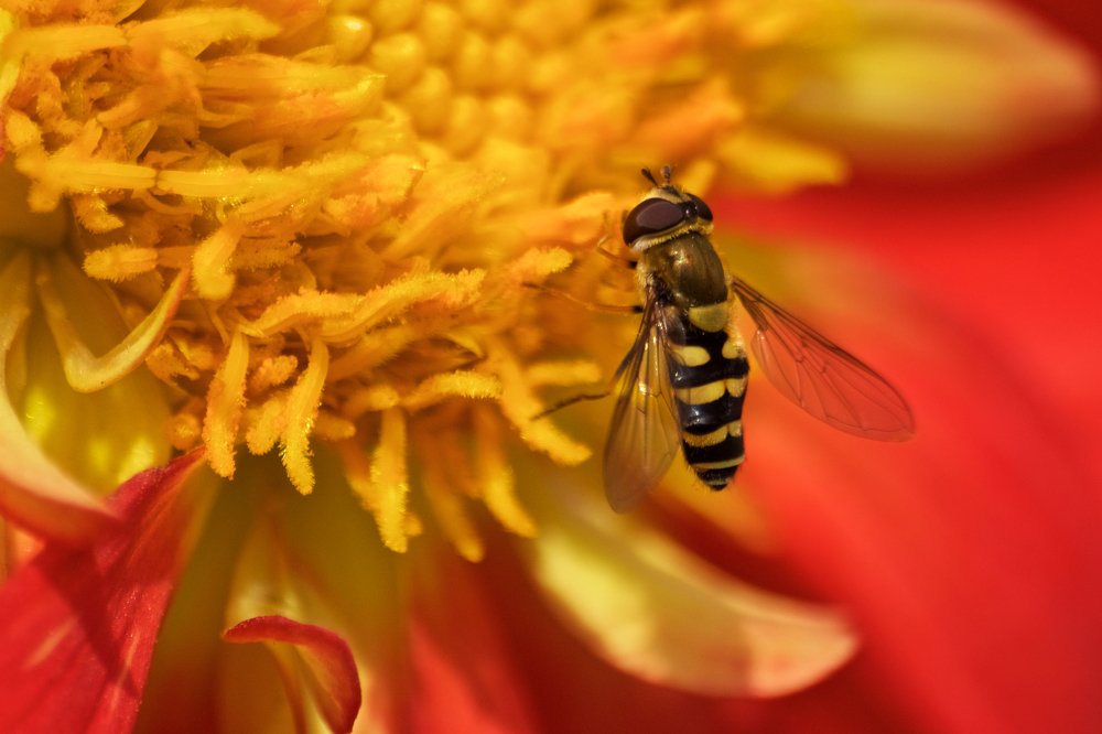 Photograph by Алёна Гильмуллина