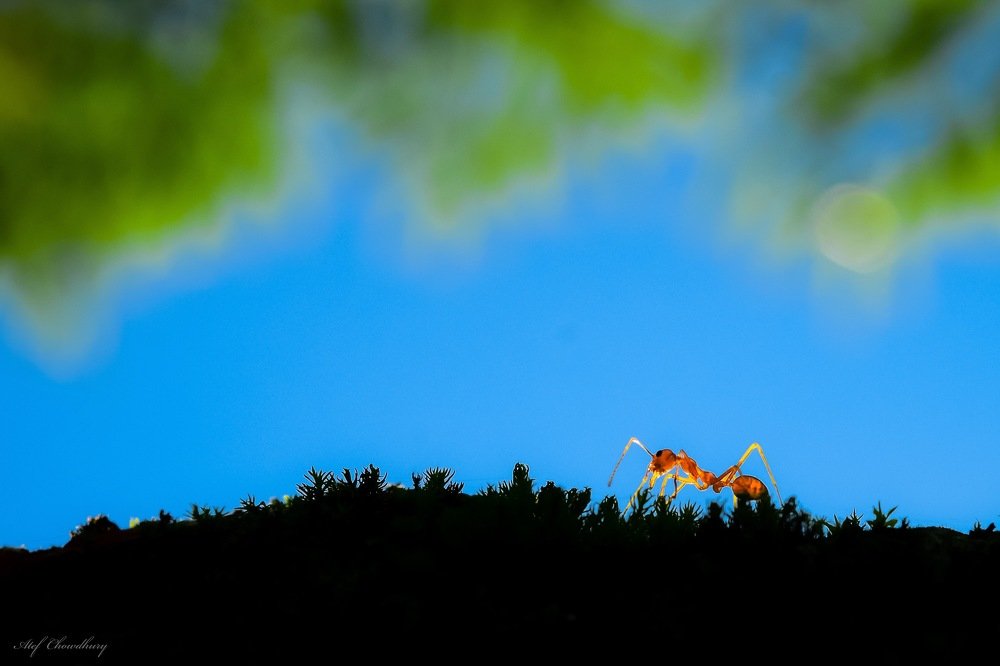 A journey through the spring