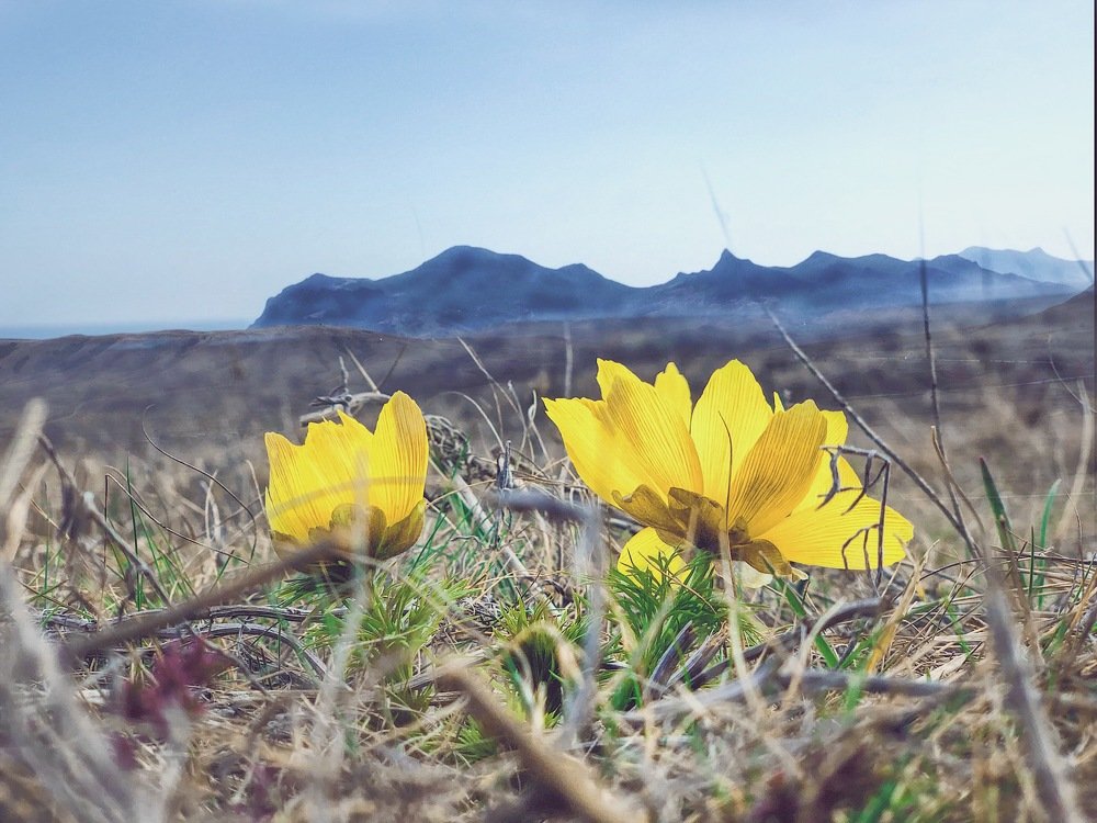 Наконец-то весна