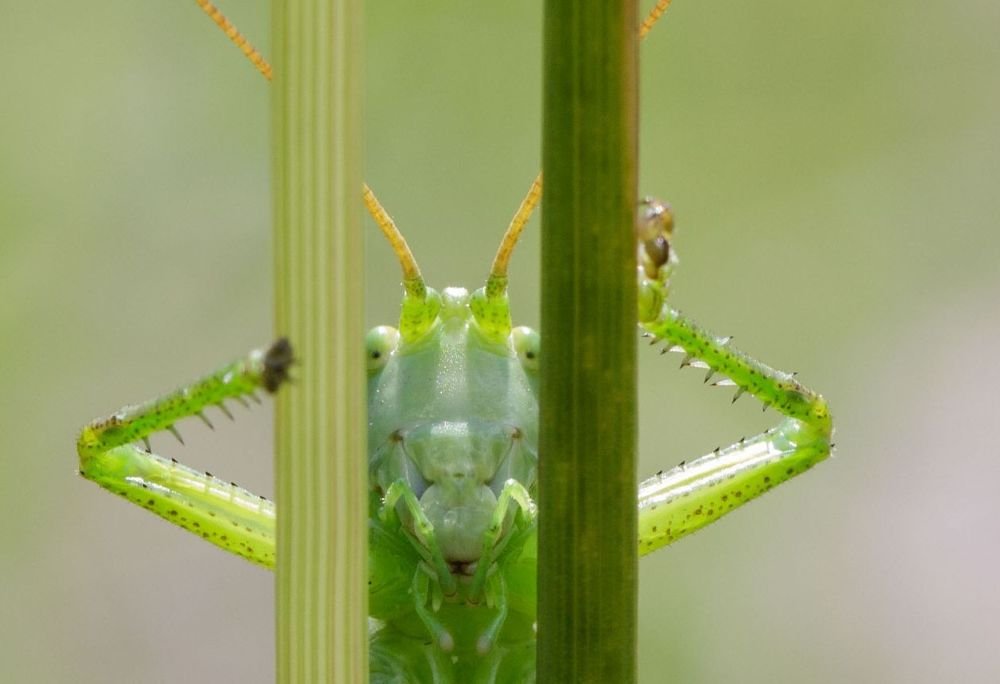 Фотография автора Олег Комарицкий