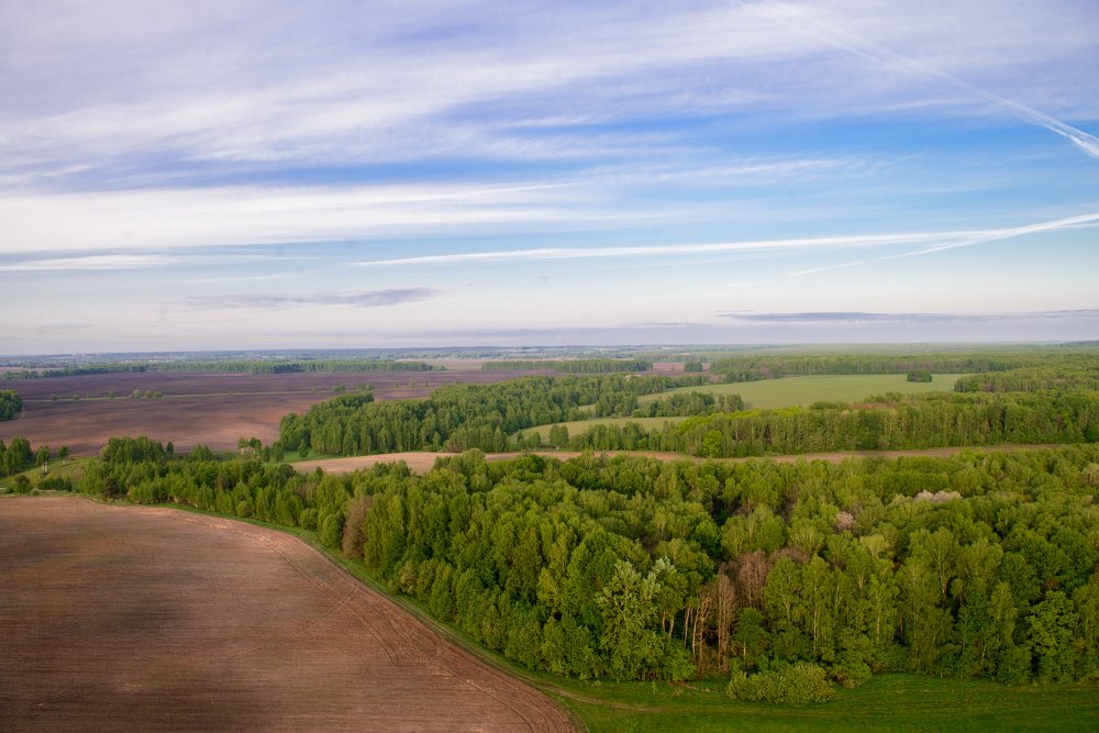 С высоты птичьего полета