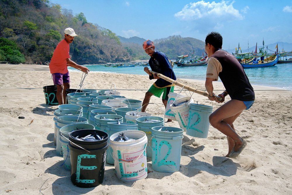 workhard hold the fish