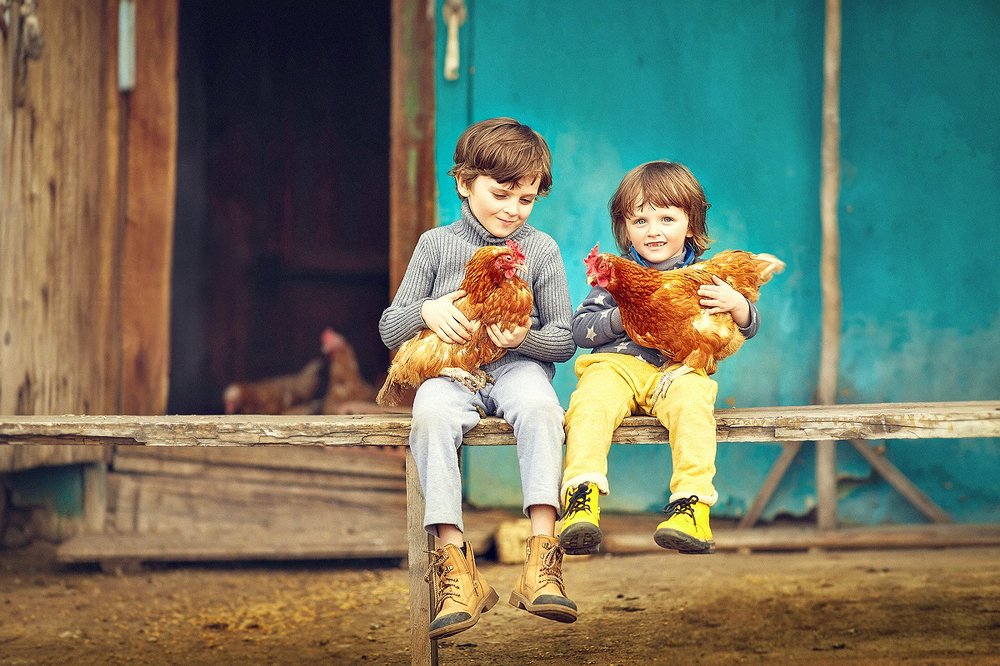 Деревенские истории