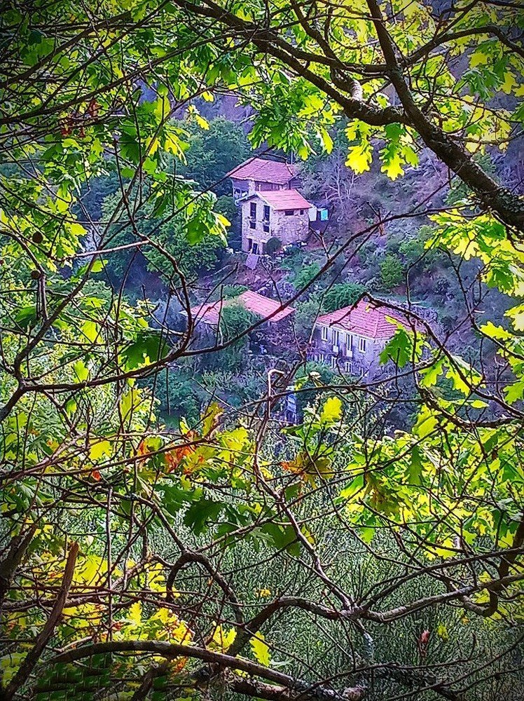 A look into the Valley