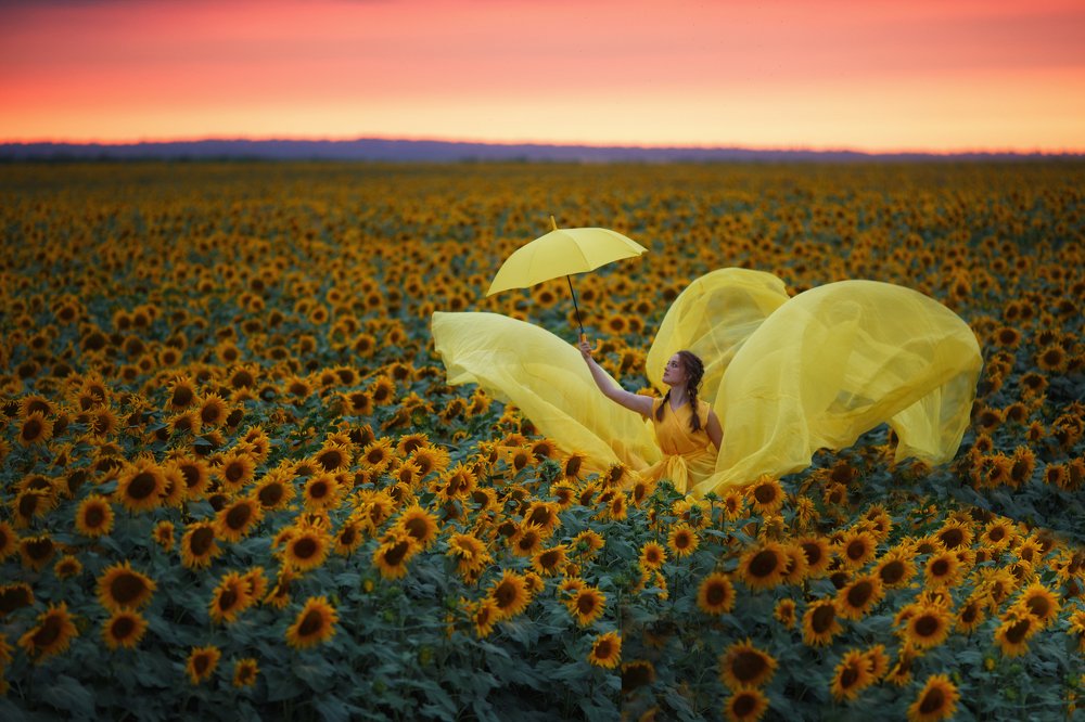 Бабочка на подсолнухах