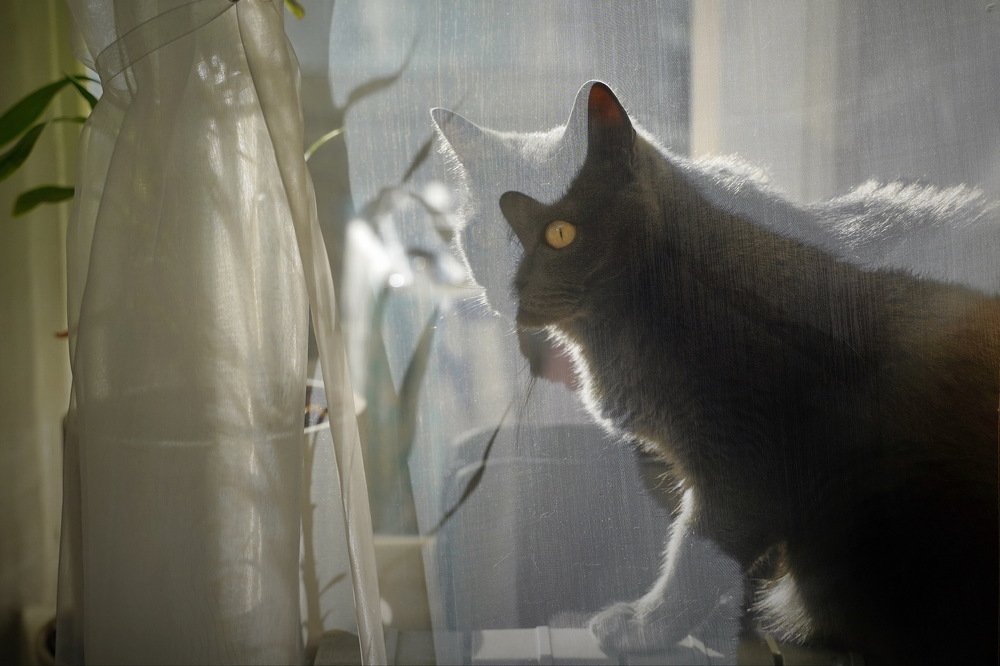 Зазеркалье...