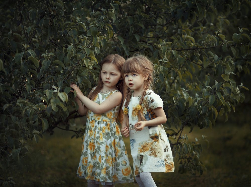 Одна история