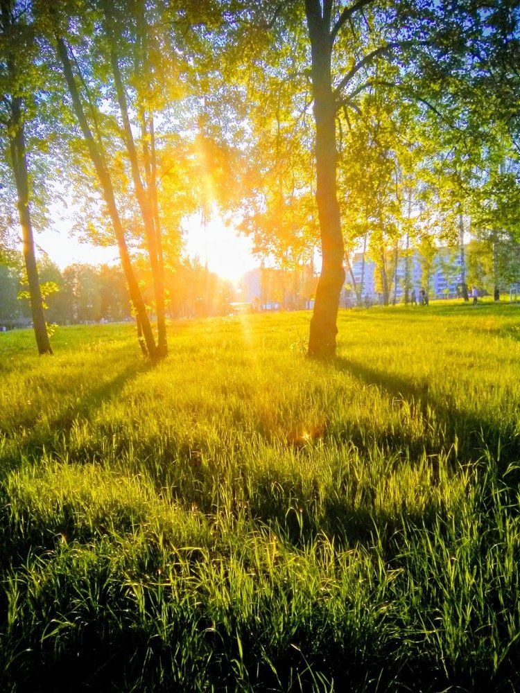 Photograph by Александра