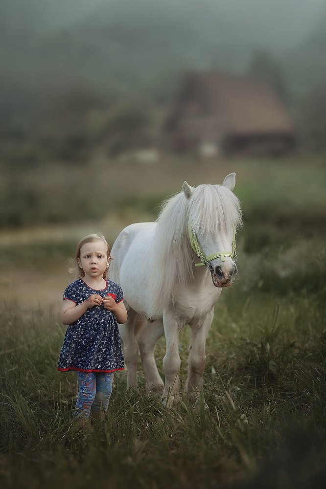 Подарите мне лошадку