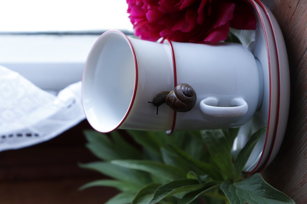 Путь на верх