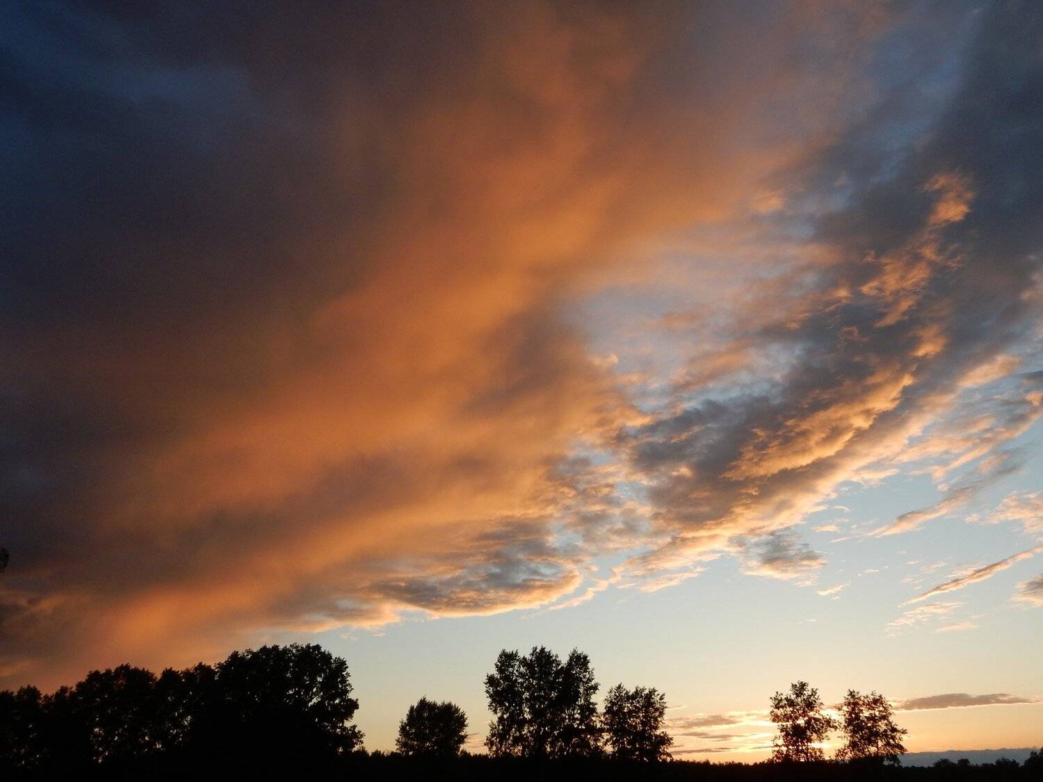 Photo #3368070