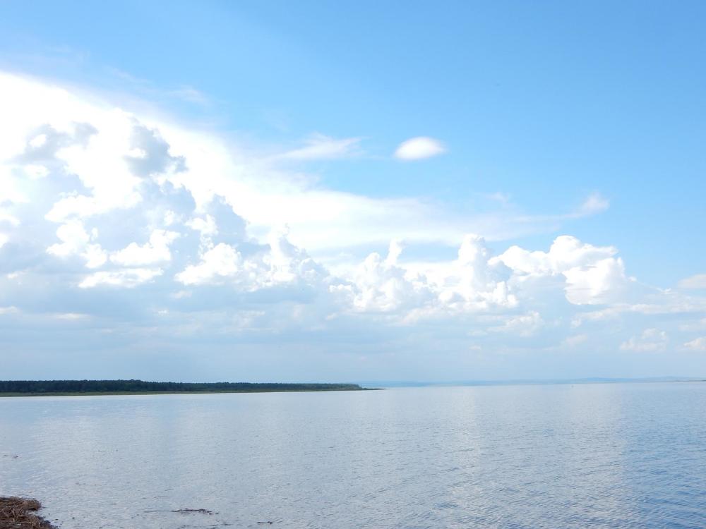 Photograph by Любовь