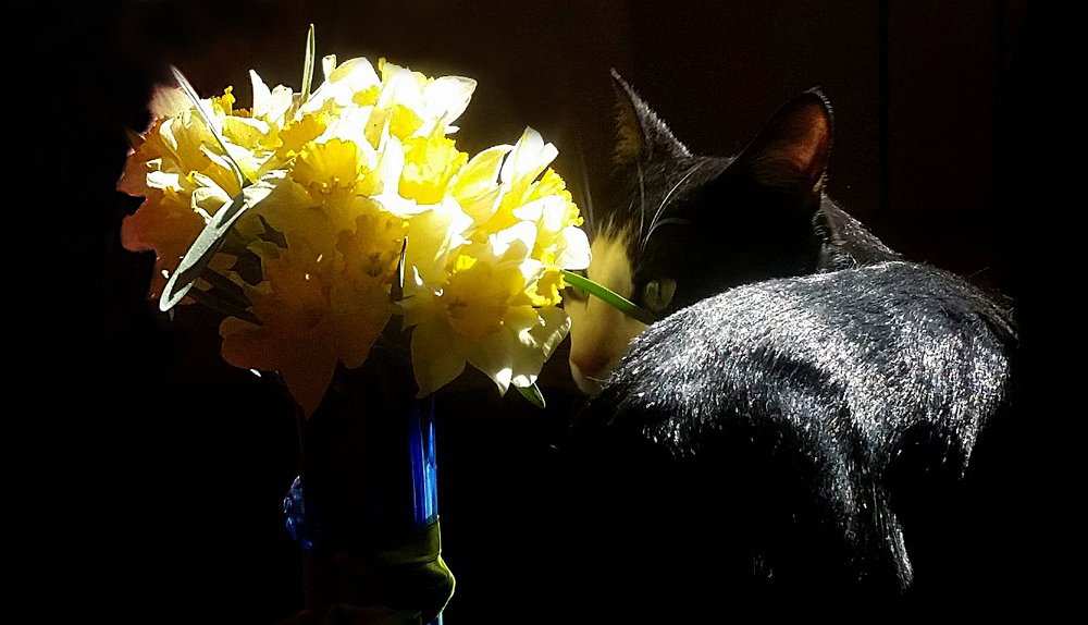 Photograph by Марина Рафаелян