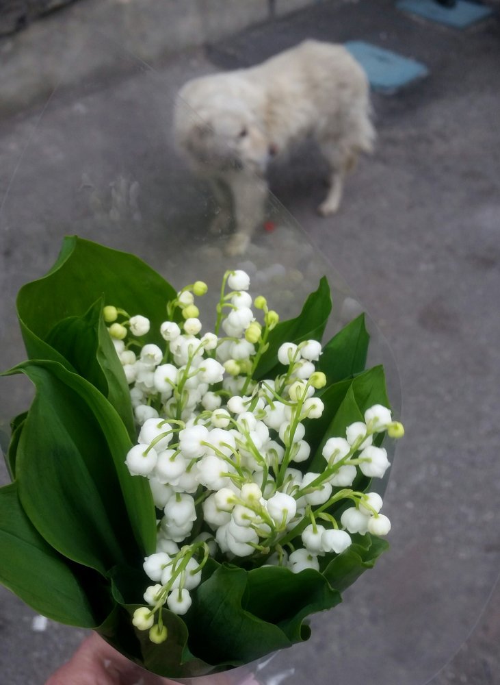 Photograph by Марина Рафаелян