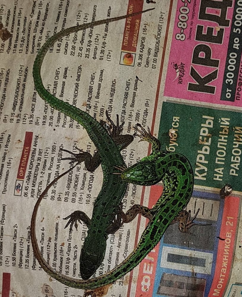 Зеленые змии