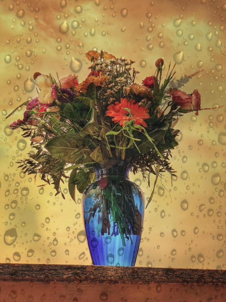 Photograph by Марина Неберекутина