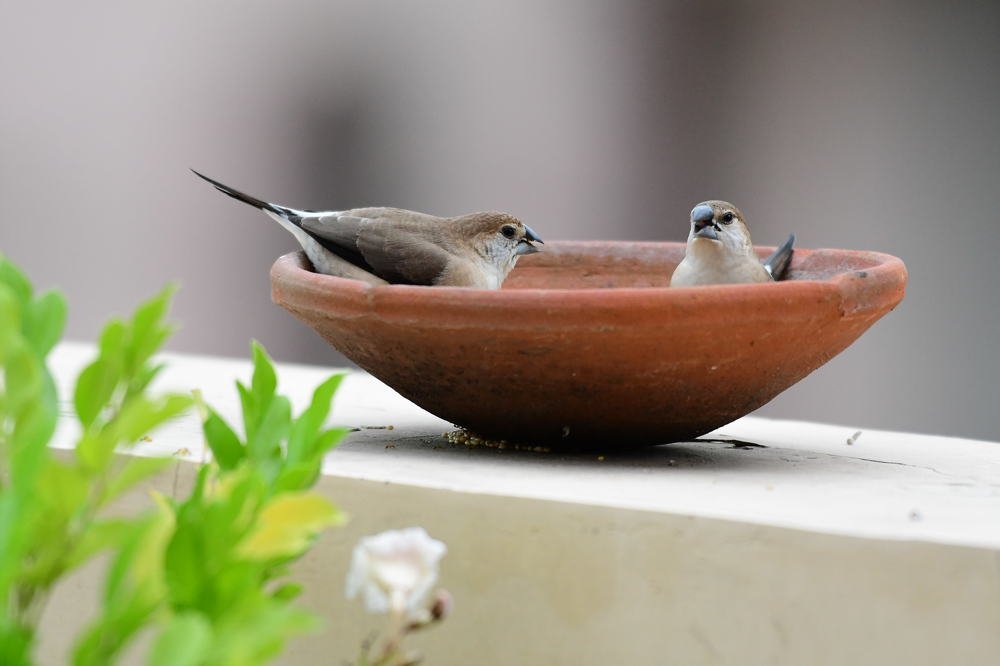 We Don't Have To Sacrifice Strong Economy For Healthy Envirinment.