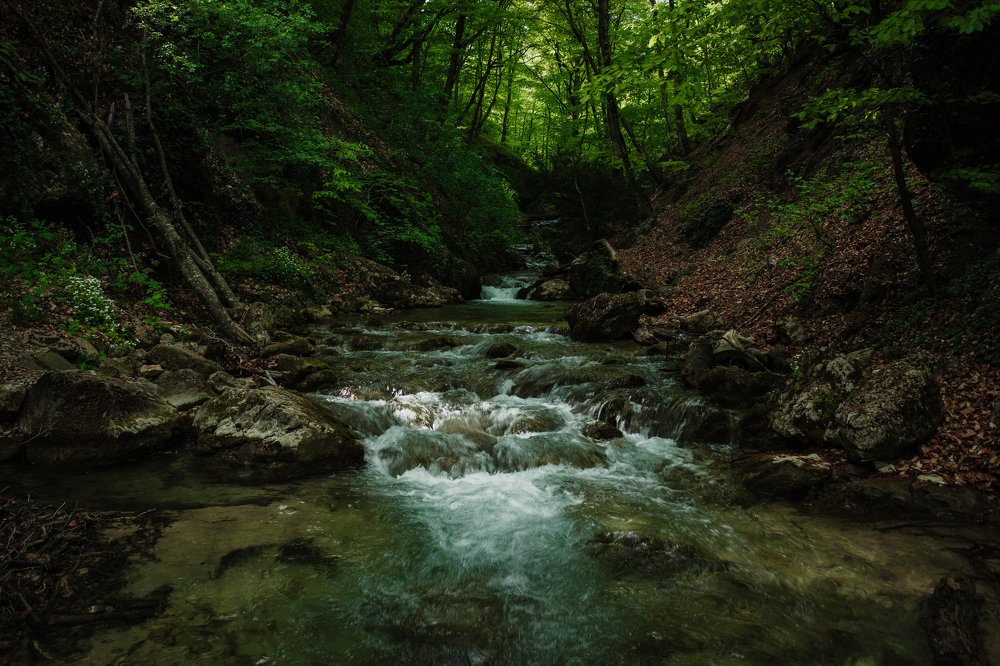 Где-то в лесах Крыма