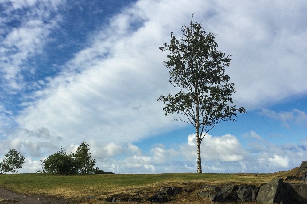 Одиночество