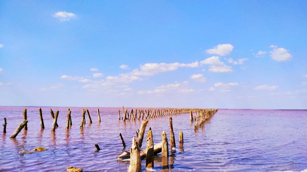 Сасык-сиваш.