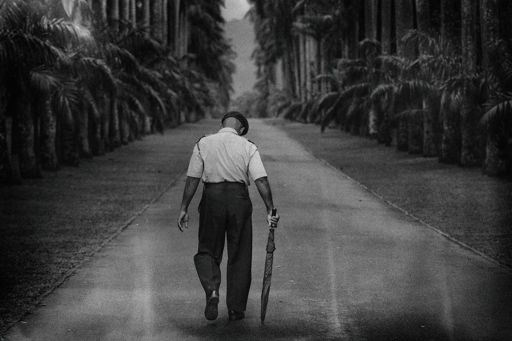 Фотография автора Александр Макаровский