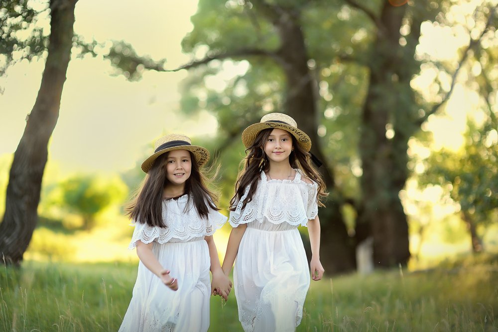 Когда деревья были большими