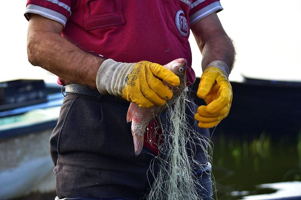 fisherman cleaning nets 1