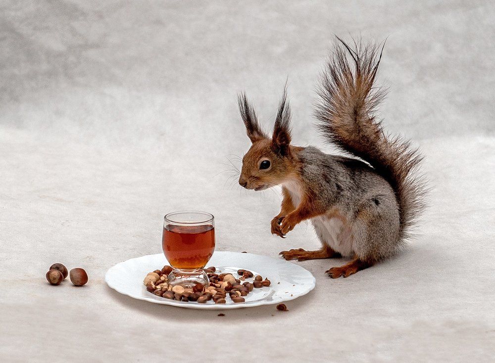 Пить или не пить?...