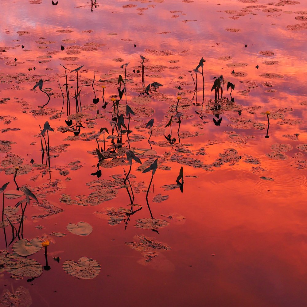 Закатные воды июня