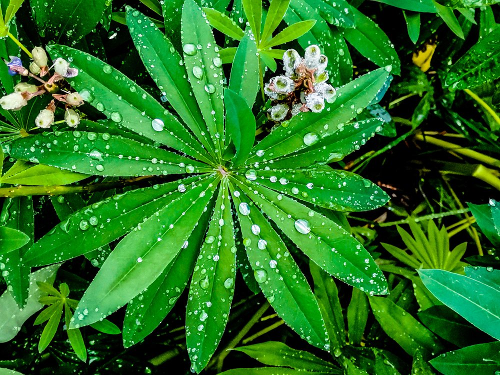 Россыпь бусинок