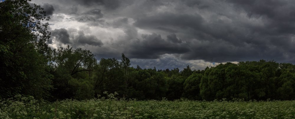 Сейчас как ливанёт...