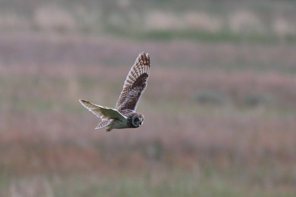 Photograph by Жбир Денис