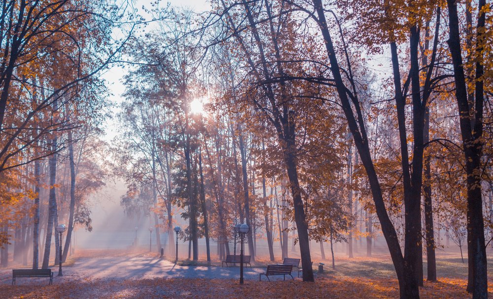 Осенний парк