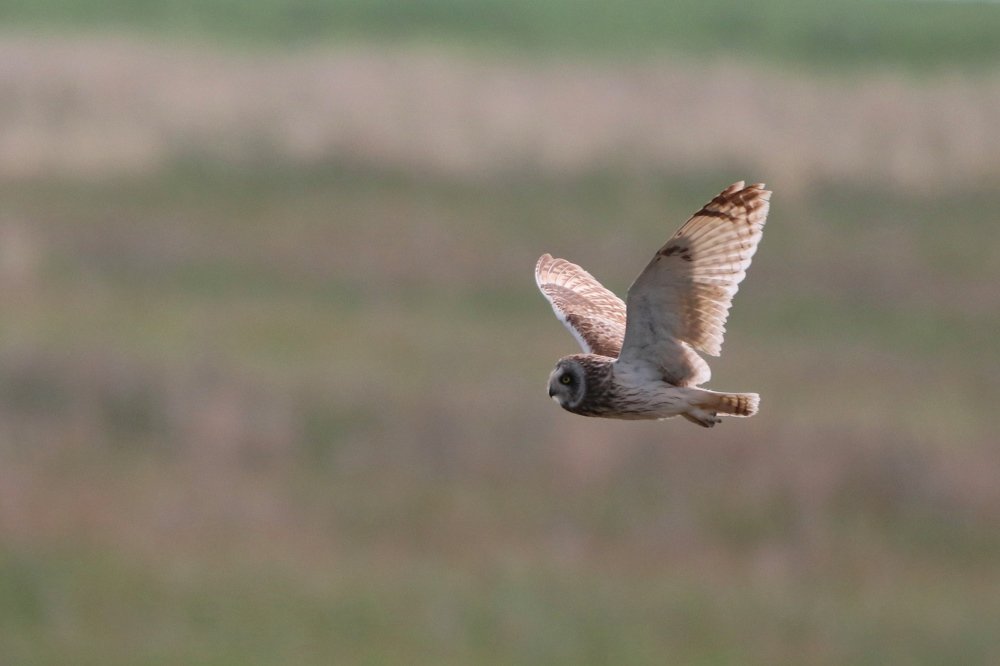 Photograph by Денис Жбир