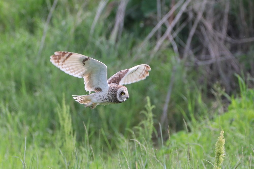 Photograph by Денис Жбир