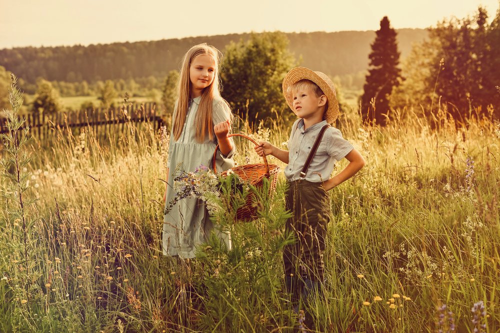 Луговые цветы